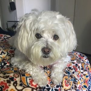 Meet your Posher, Angela m.